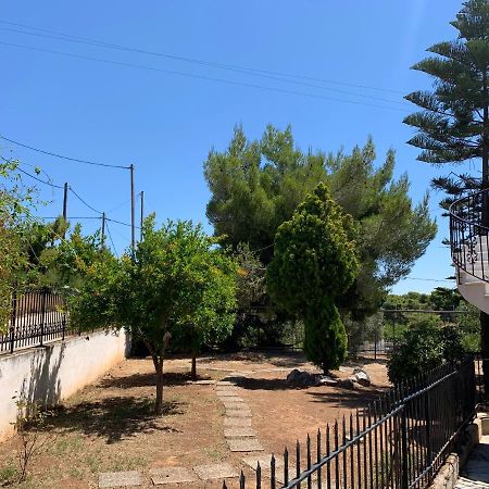 Villa Kavos - Isthmia Corinth Екстериор снимка